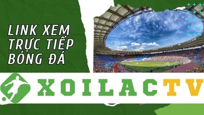 Xoilactv.skin - Không gian bóng đá độc đáo cuốn hút người xem